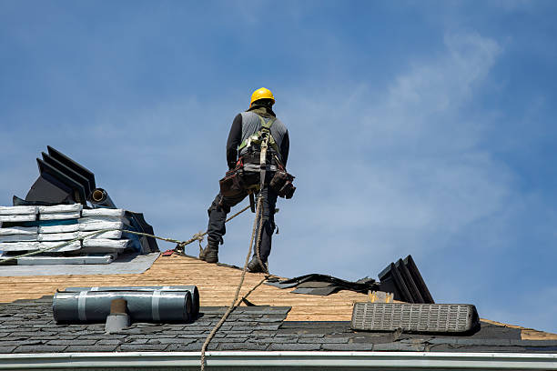 Professional Roof Replacement technician working in Shepherd, TX